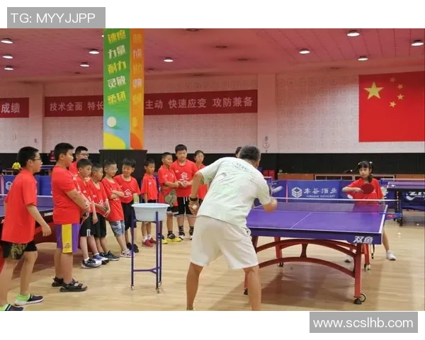 乒乓球的力量与坚持：深入了解西安乒乓球队的训练与耐力之道