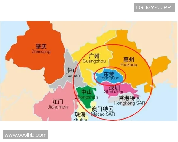 广州排球队在大师赛中的实力展现与未来发展潜力分析