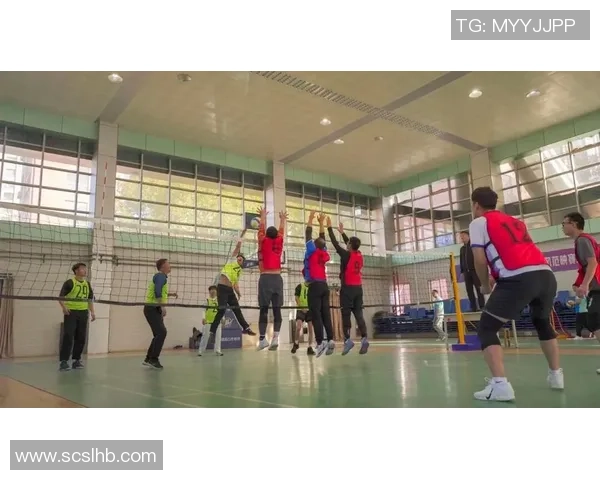 重庆排球队的崛起与发展探讨展现排球运动的力量与魅力