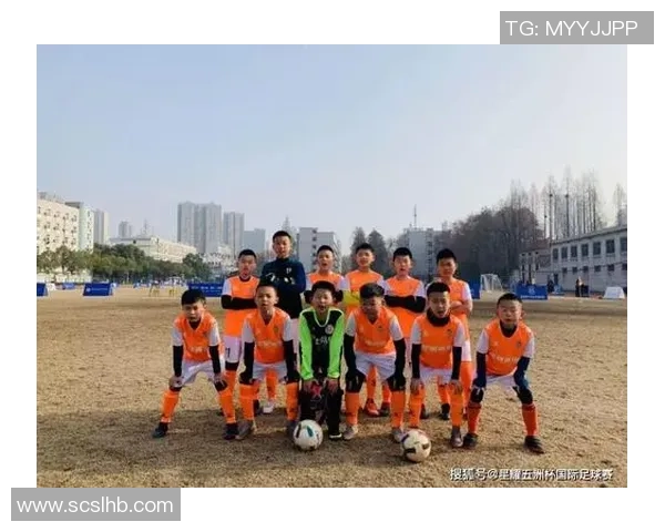 武汉足球队实力解析：聚焦球队发展与未来展望